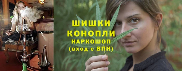прущие грибы Михайлов