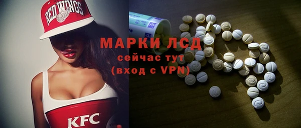 прущие грибы Михайлов