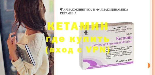 прущие грибы Михайлов