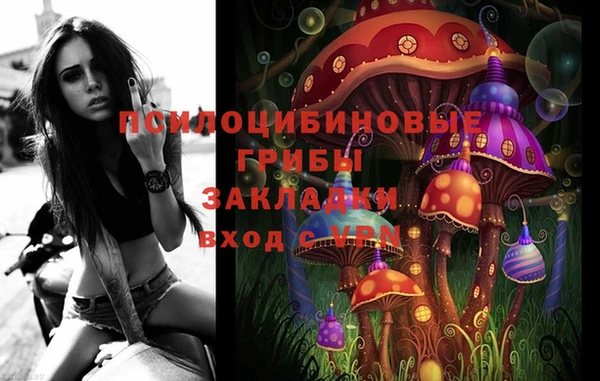 прущие грибы Михайлов