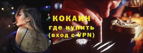 прущие грибы Михайлов