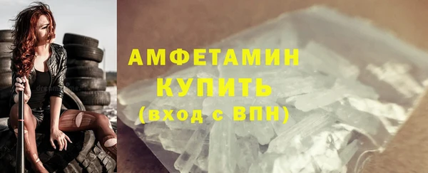 прущие грибы Михайлов