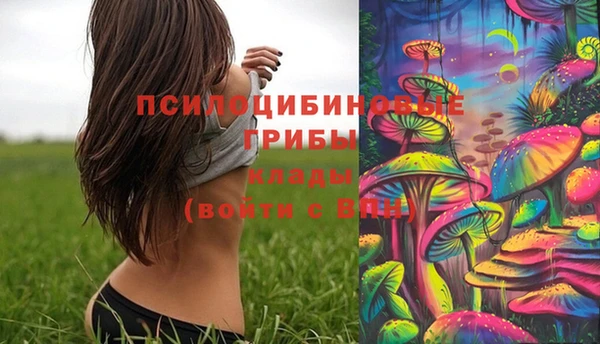 прущие грибы Михайлов