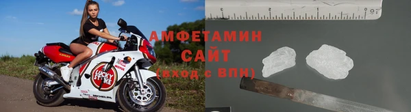 прущие грибы Михайлов