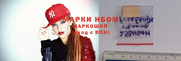 прущие грибы Михайлов