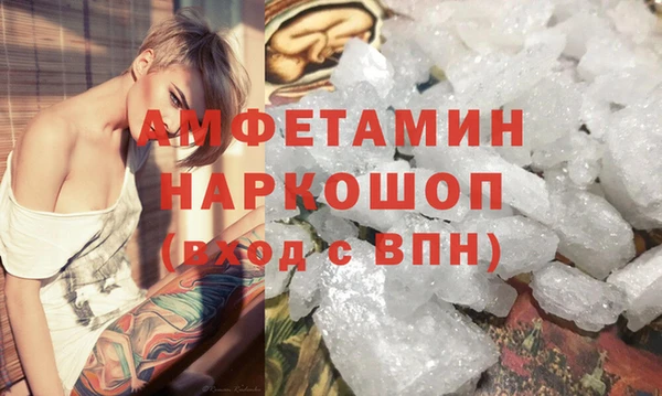 прущие грибы Михайлов