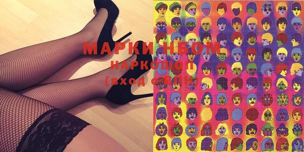 прущие грибы Михайлов