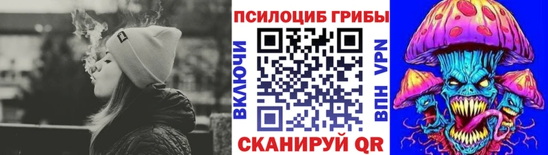 где найти   Семёнов  MEGA tor  Псилоцибиновые грибы прущие грибы 